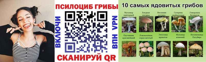 Галлюциногенные грибы Psilocybe  наркота  Кадников 
